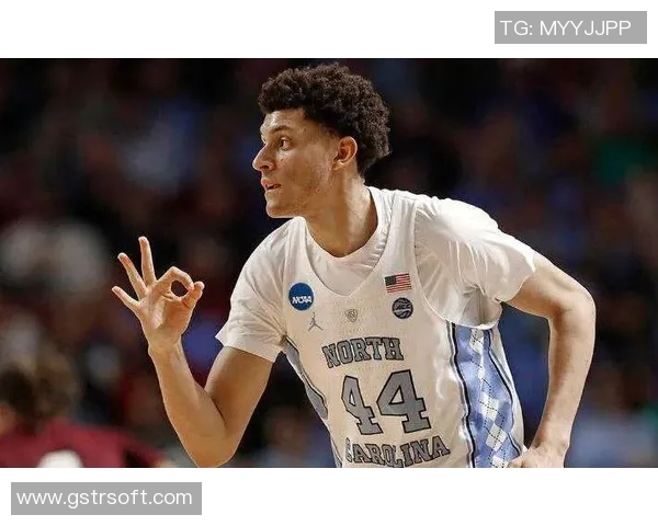 努涅斯在赛场上的崛起与挑战：从新星到顶级前锋的成长之路